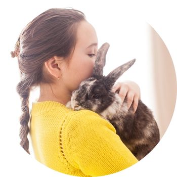 Arag Law Blog Circle 5