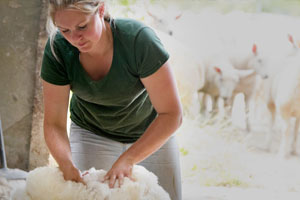 Employing farm workers: What you need to know