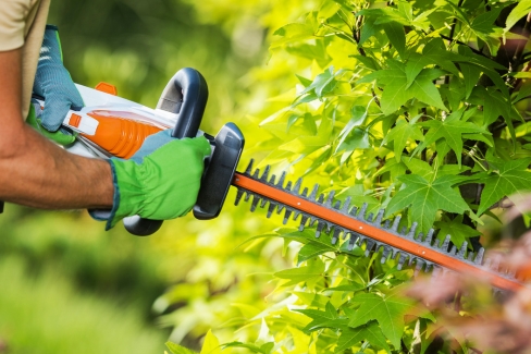Don’t let your private hedge be a hazard to public footpaths