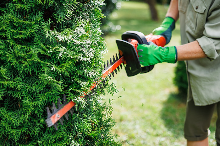 Don’t let your private hedge be a hazard to public footpaths 