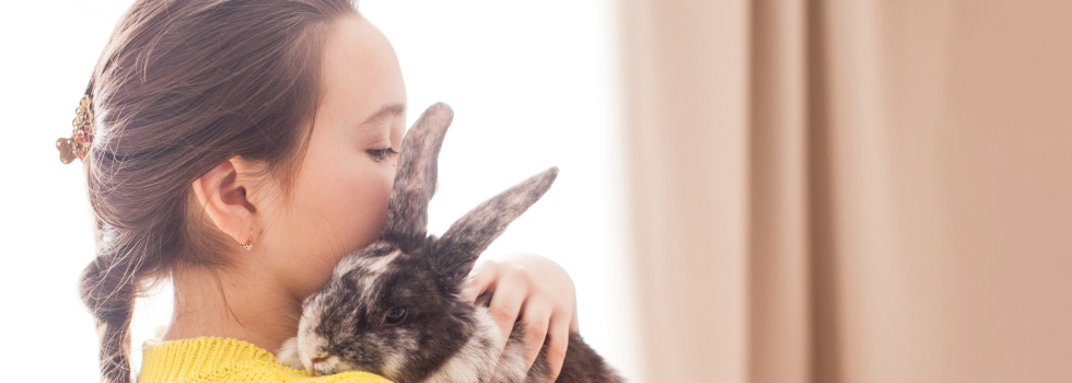 Top Banner Blogs Animal Welfare