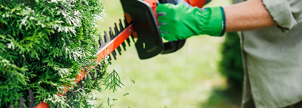 Top Banner Blogs Don’t Let Your Private Hedge Be A Hazard To Public Footpaths